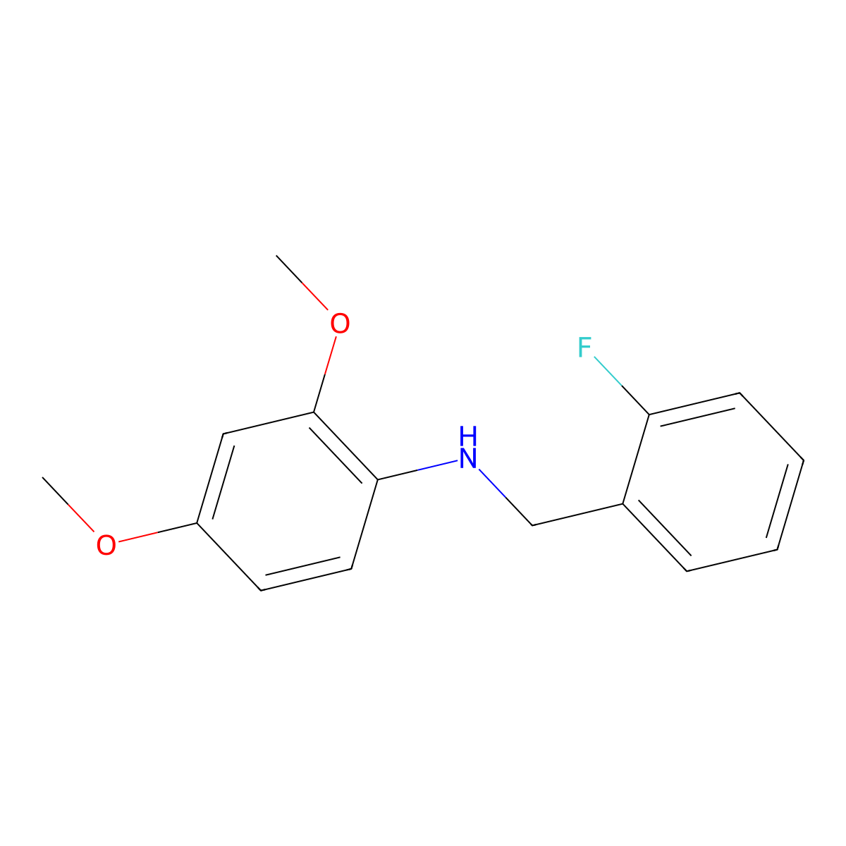 N-(2-Fluorobenzyl)-2,4-dimethoxyaniline molecular structure, CAS 1019475-09-2