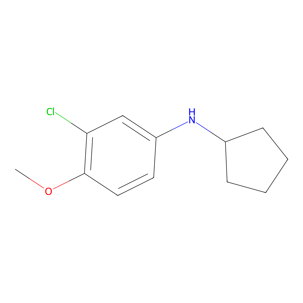 3-chloro-N-cyclopentyl-4-methoxyaniline molecular structure, CAS 1019475-27-4