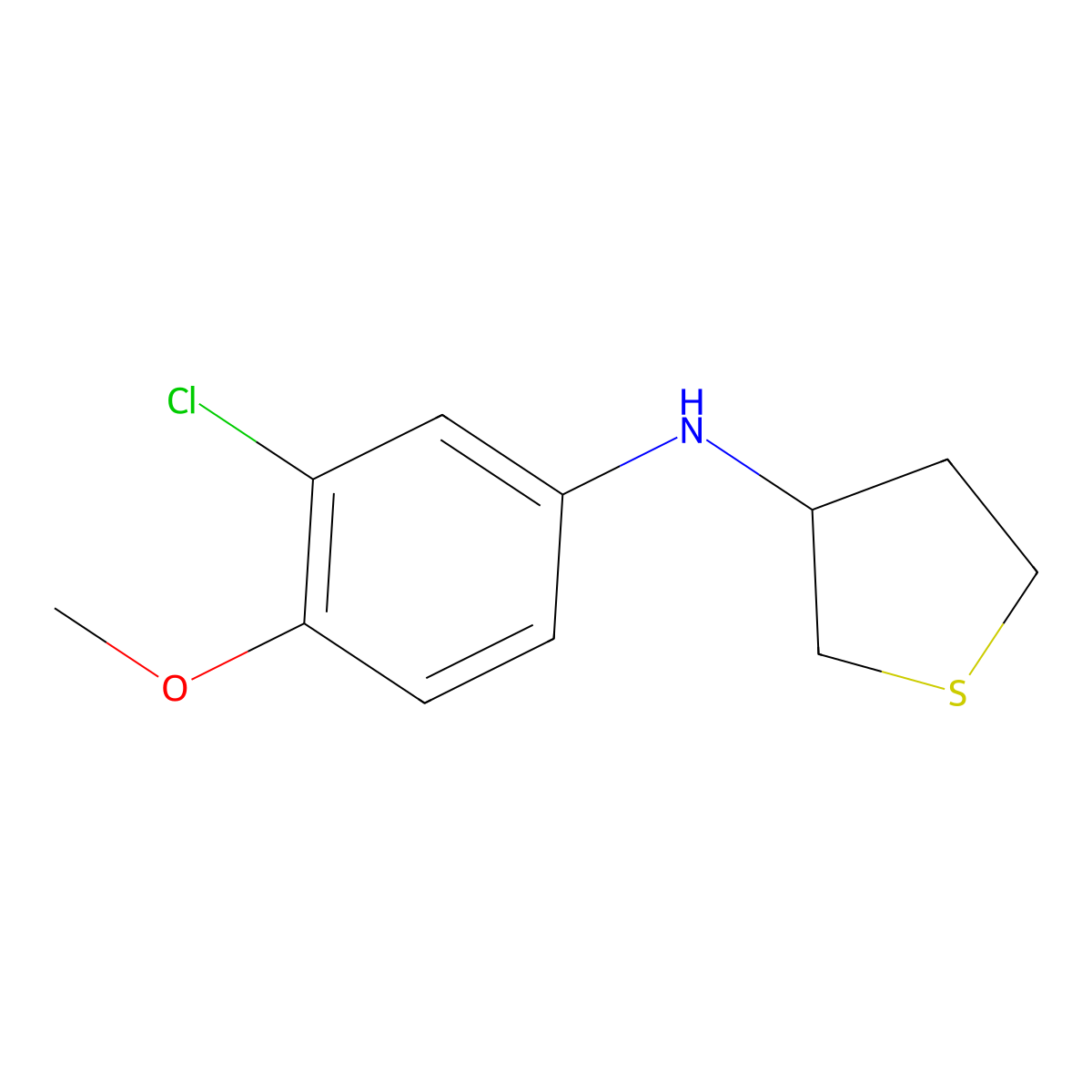 N-(3-chloro-4-methoxyphenyl)thiolan-3-amine molecular structure, CAS 1019475-30-9