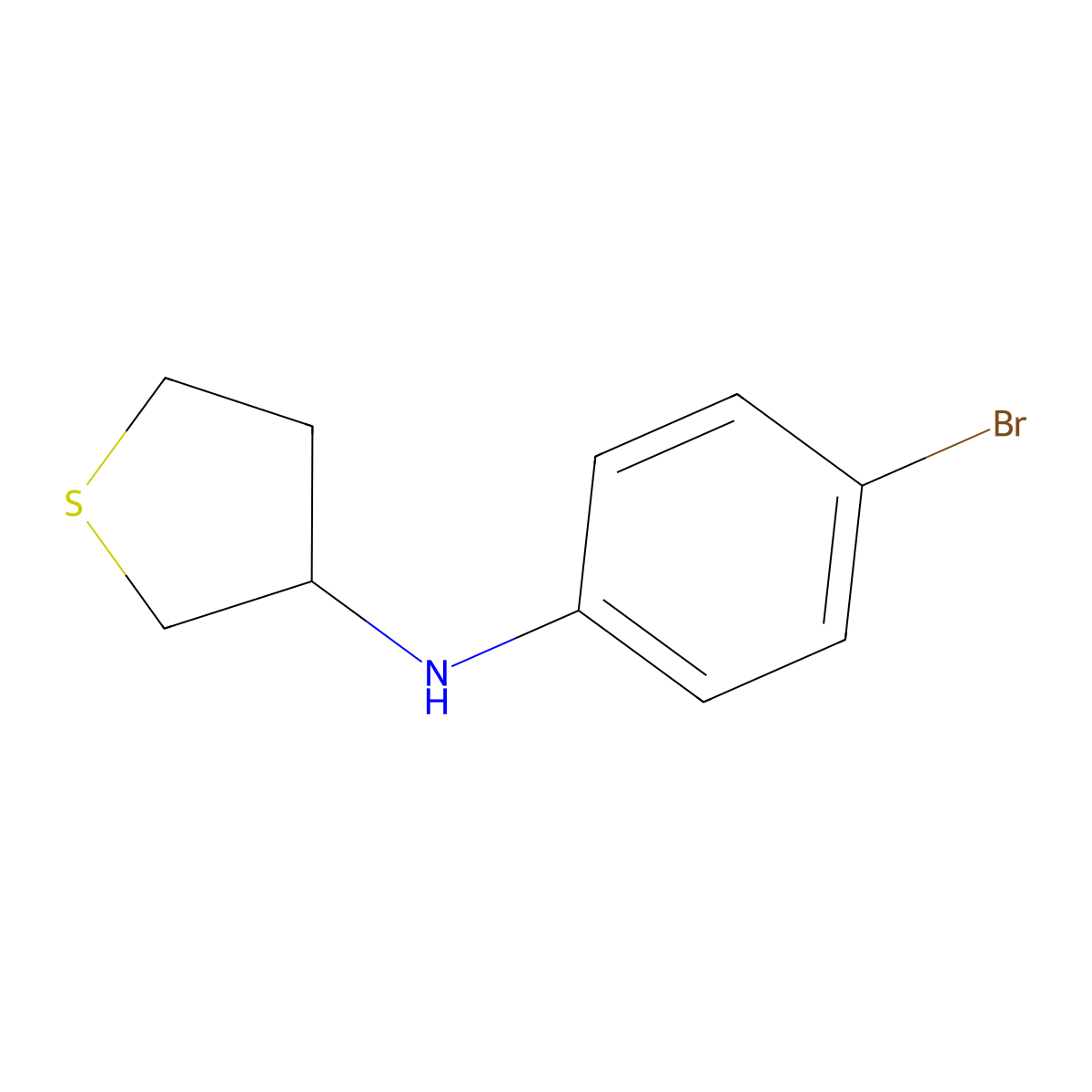 N-(4-bromophenyl)thiolan-3-amine molecular structure, CAS 1019478-27-3