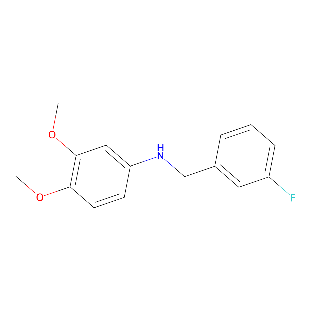 N-(3-Fluorobenzyl)-3,4-dimethoxyaniline molecular structure, CAS 1019488-75-5