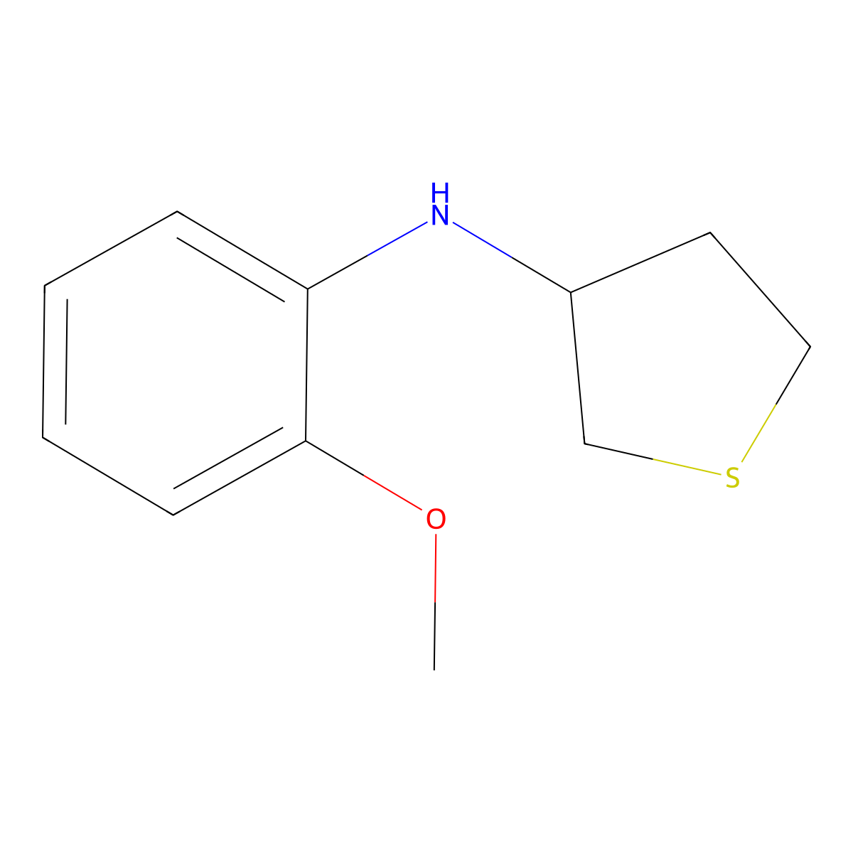 N-(2-methoxyphenyl)thiolan-3-amine molecular structure, CAS 1019489-31-6