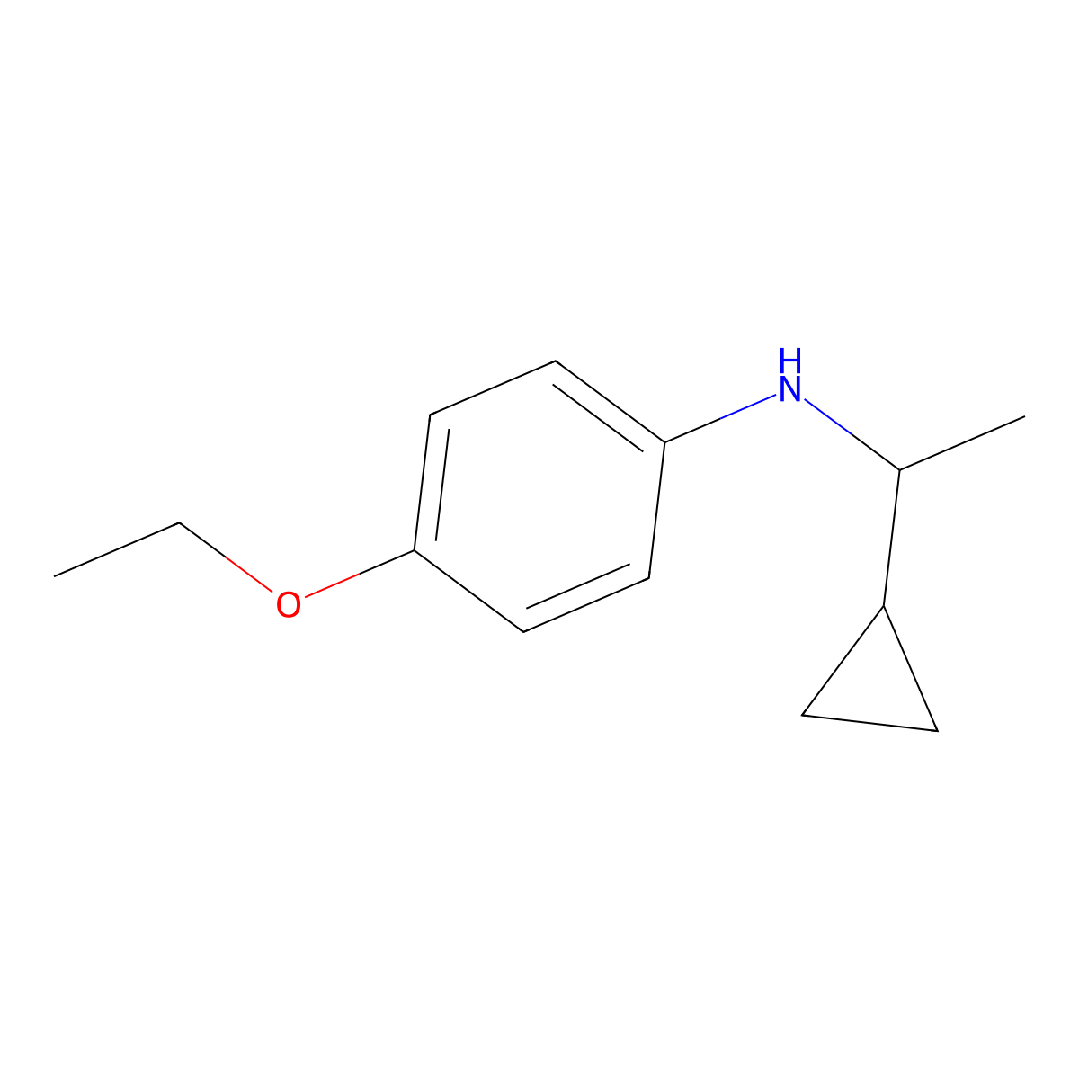 N-(1-cyclopropylethyl)-4-ethoxyaniline molecular structure, CAS 1019490-47-1