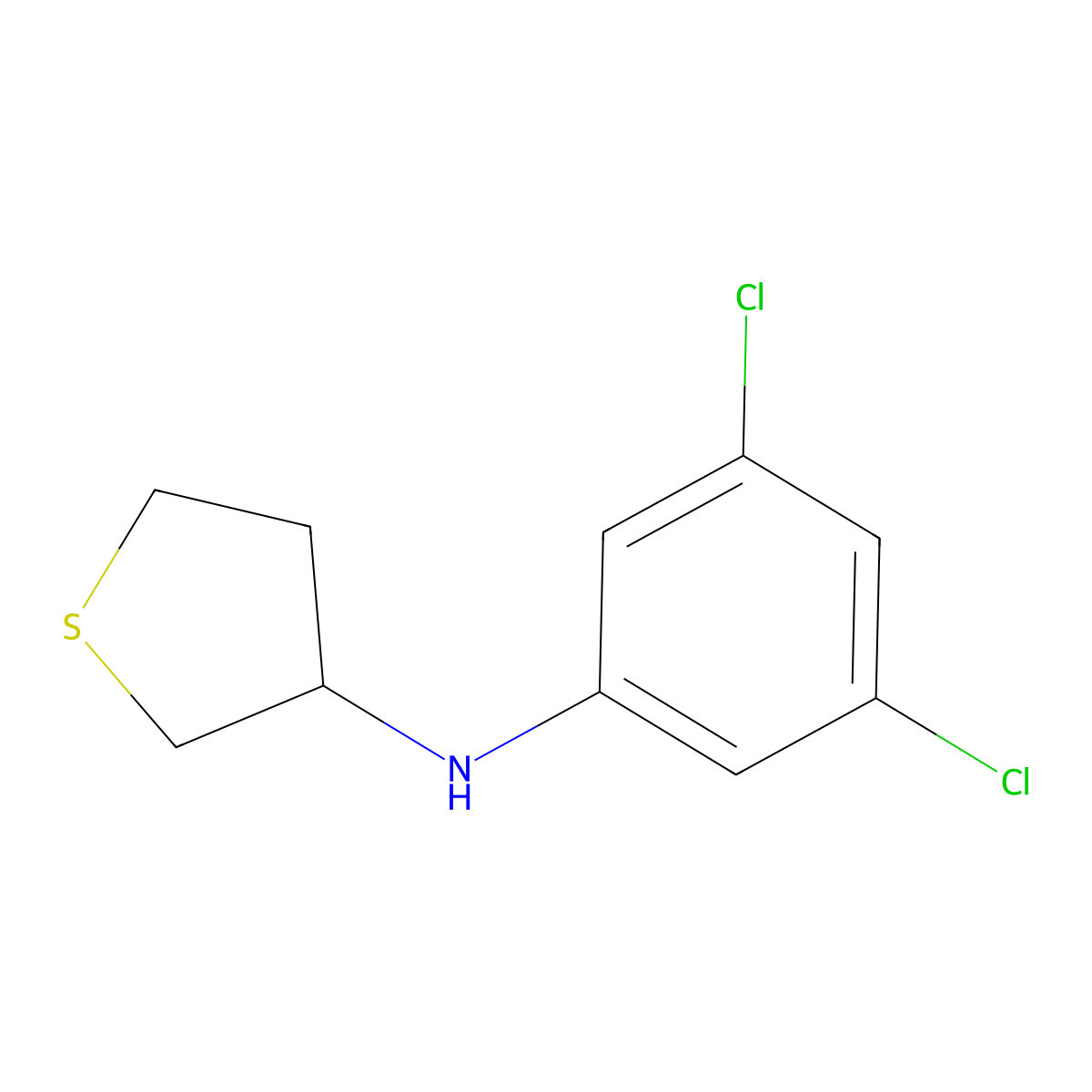 N-(3,5-dichlorophenyl)thiolan-3-amine molecular structure, CAS 1019496-04-8