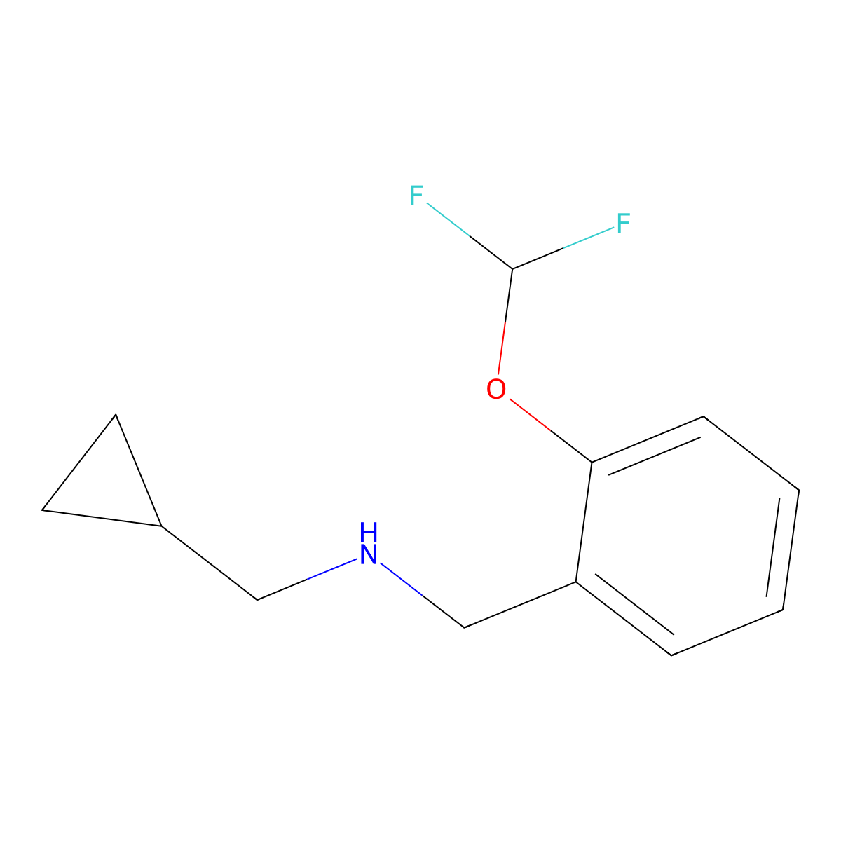 (Cyclopropylmethyl)({[2-(difluoromethoxy)phenyl]methyl})amine molecular structure, CAS 1019504-37-0