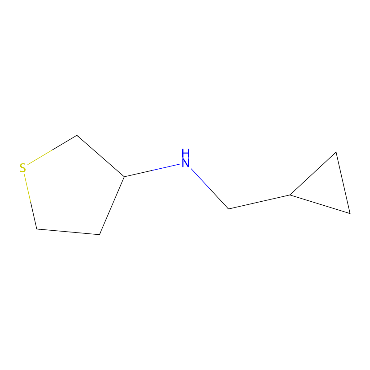 N-(cyclopropylmethyl)thiolan-3-amine molecular structure, CAS 1019507-02-8