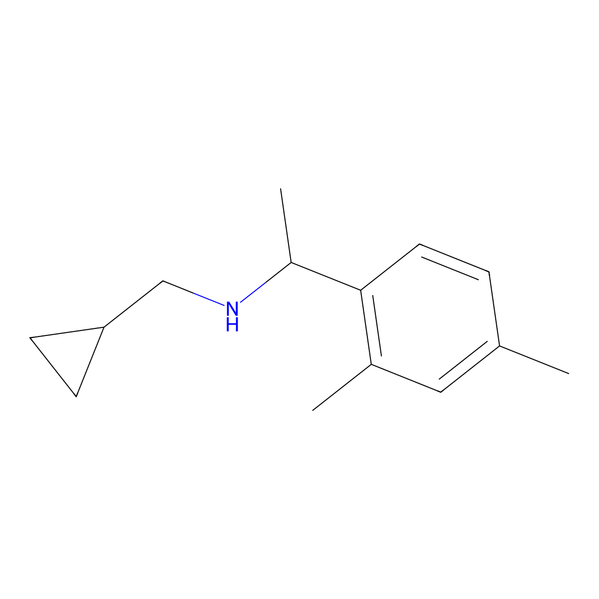 (Cyclopropylmethyl)[1-(2,4-dimethylphenyl)ethyl]amine molecular structure, CAS 1019507-75-5