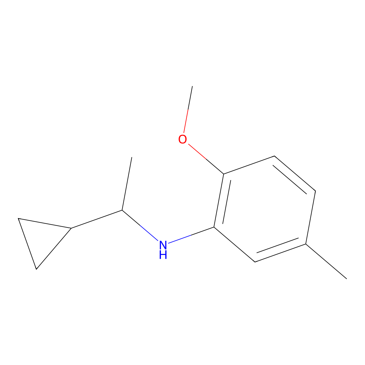 N-(1-cyclopropylethyl)-2-methoxy-5-methylaniline molecular structure, CAS 1019509-24-0