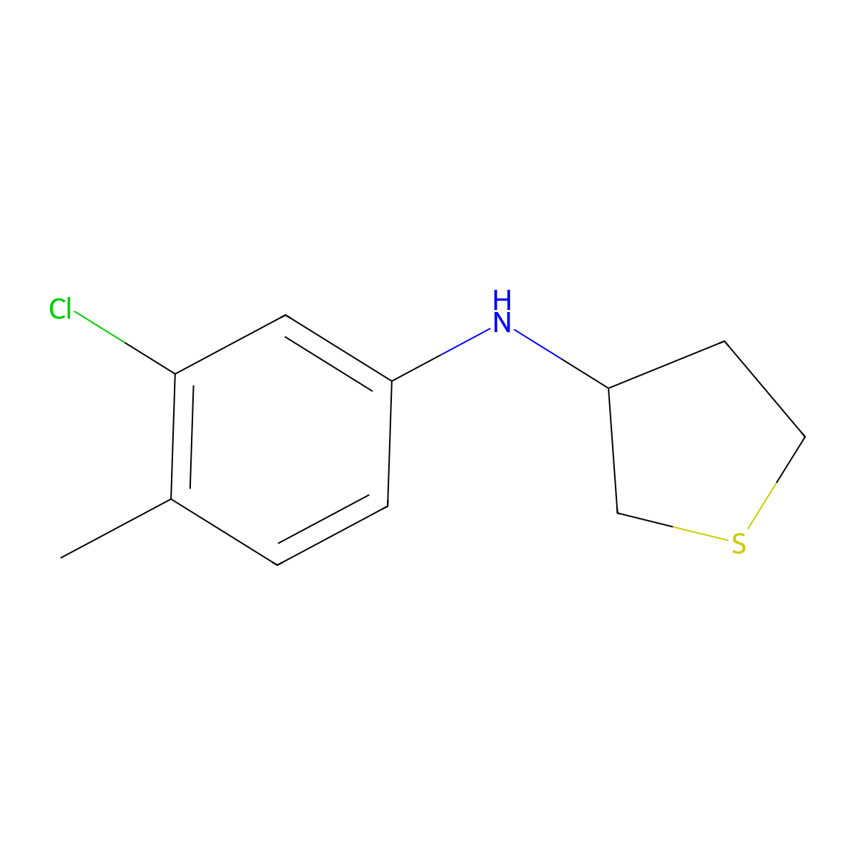 N-(3-chloro-4-methylphenyl)thiolan-3-amine molecular structure, CAS 1019516-35-8