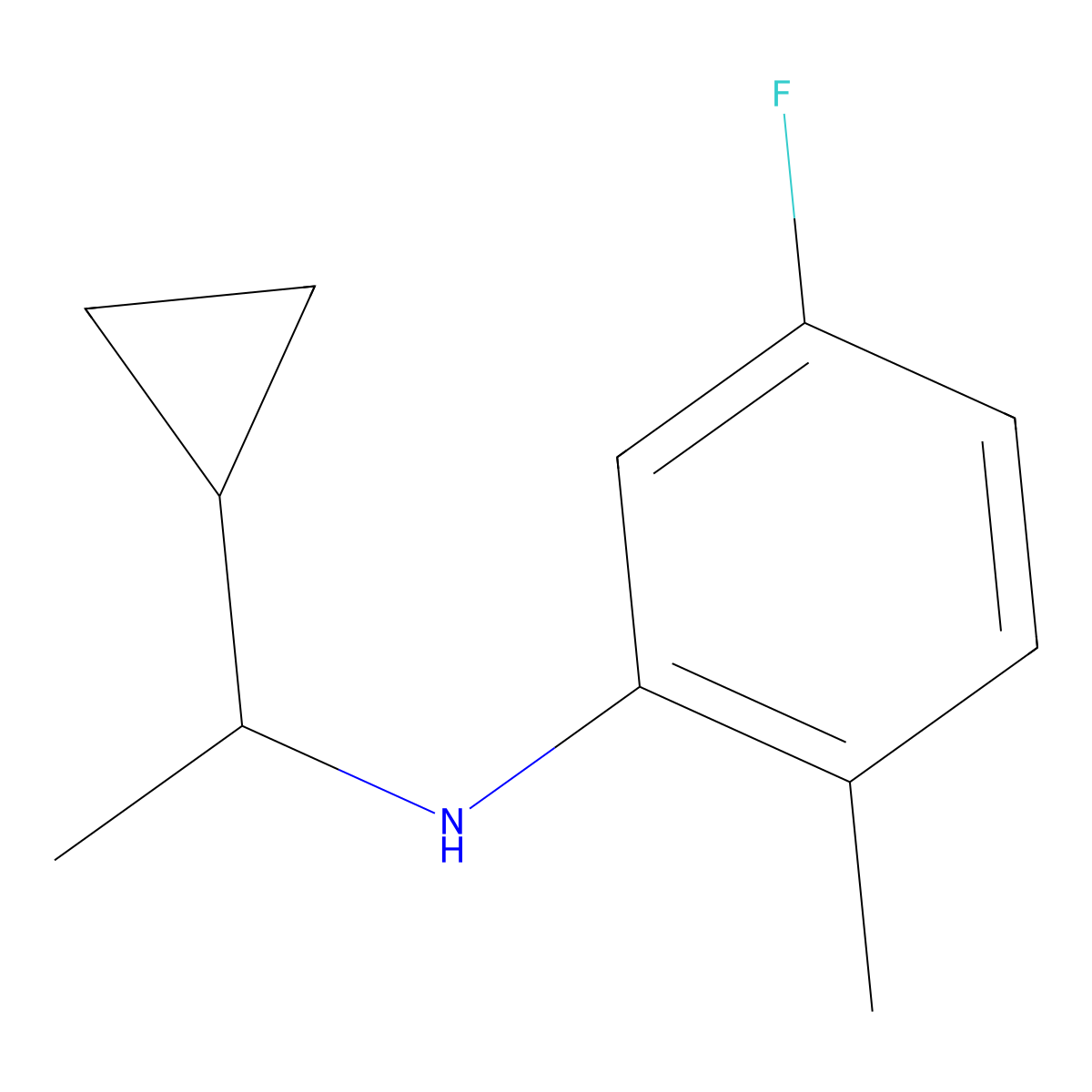 N-(1-cyclopropylethyl)-5-fluoro-2-methylaniline molecular structure, CAS 1019519-10-8
