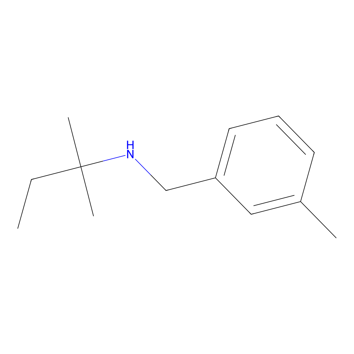(2-Methylbutan-2-YL)[(3-methylphenyl)methyl]amine molecular structure, CAS 1019527-43-5