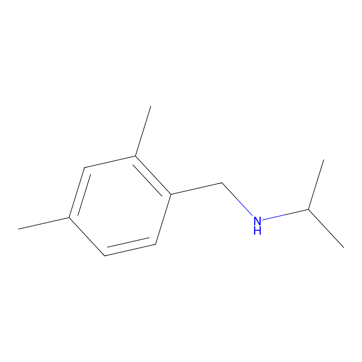 [(2,4-Dimethylphenyl)methyl](propan-2-yl)amine molecular structure, CAS 1019528-37-0