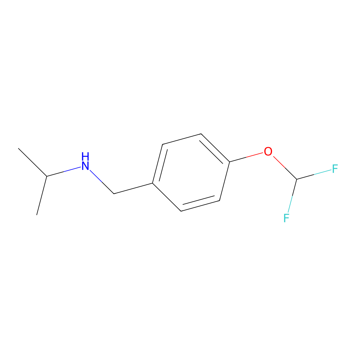 {[4-(Difluoromethoxy)phenyl]methyl}(propan-2-yl)amine molecular structure, CAS 1019528-43-8