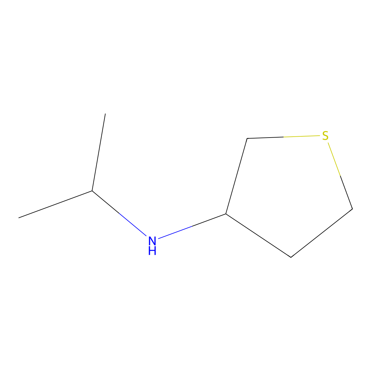 N-Isopropyltetrahydrothiophen-3-amine molecular structure, CAS 1019528-49-4