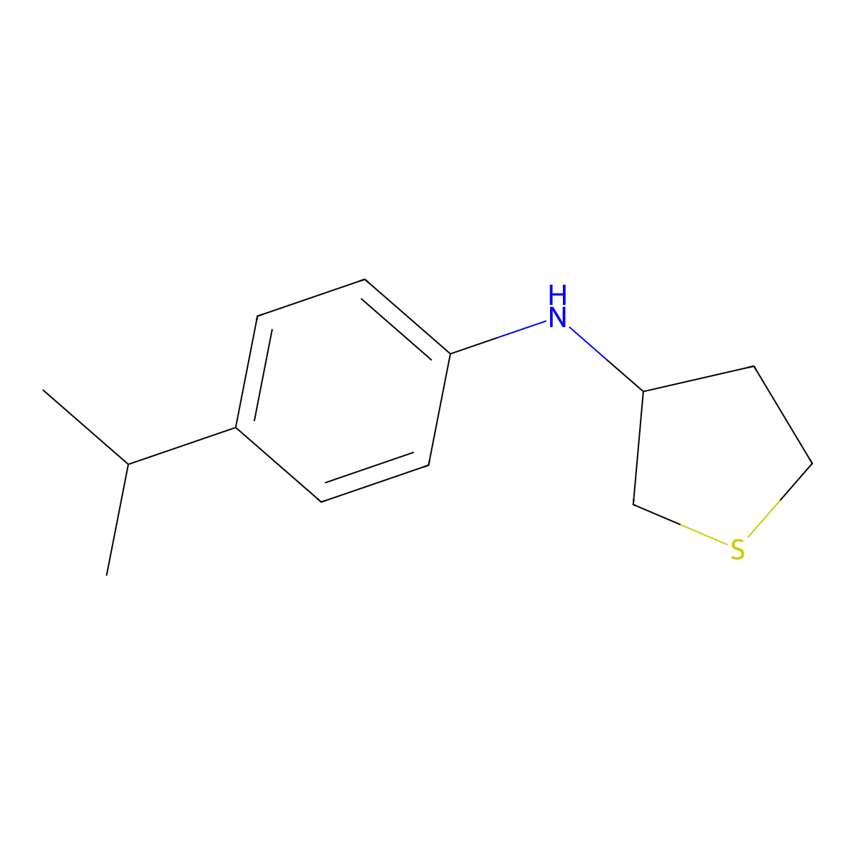 N-[4-(Propan-2-yl)phenyl]thiolan-3-amine molecular structure, CAS 1019529-57-7