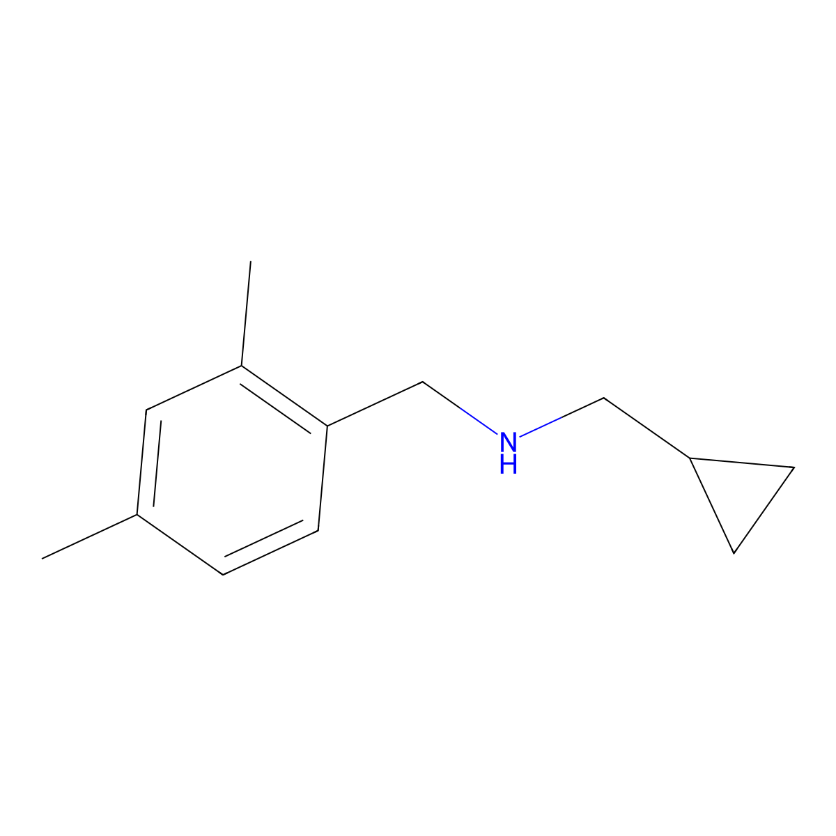 (Cyclopropylmethyl)[(2,4-dimethylphenyl)methyl]amine molecular structure, CAS 1019538-71-6