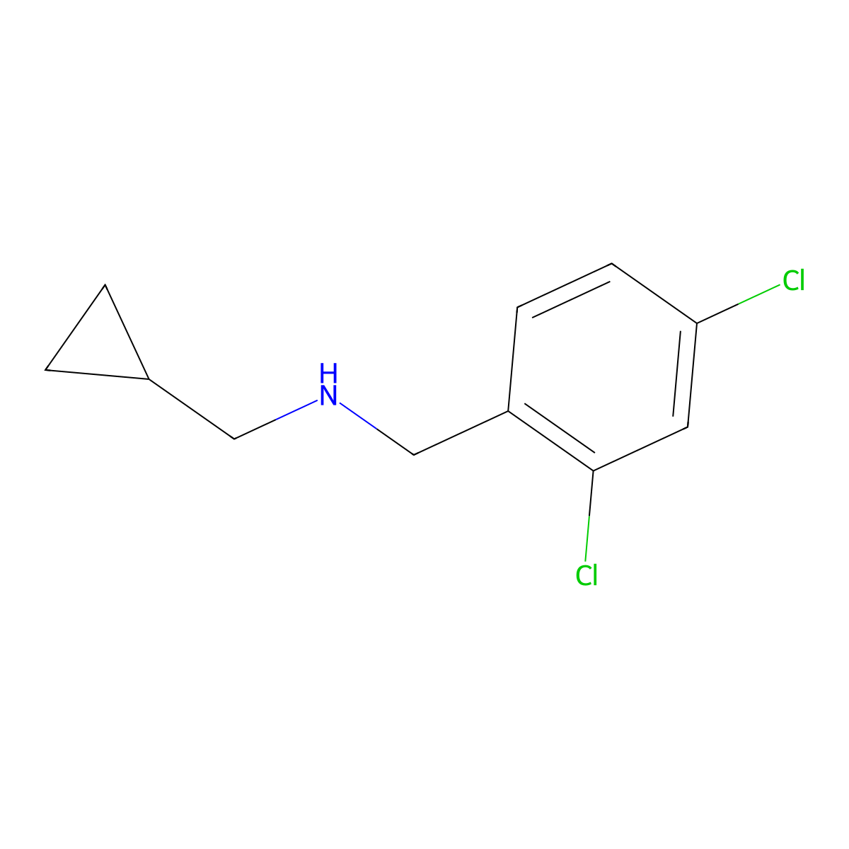 N-(2,4-dichlorobenzyl)(cyclopropyl)methanamine molecular structure, CAS 1019539-09-3