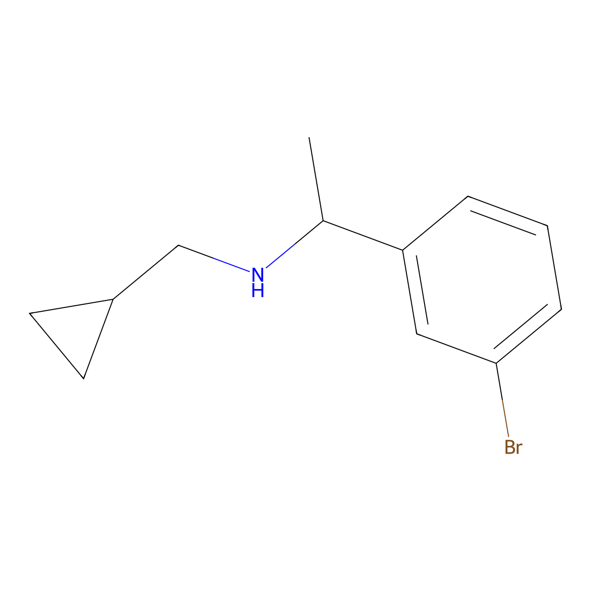 [1-(3-Bromophenyl)ethyl](cyclopropylmethyl)amine molecular structure, CAS 1019539-21-9