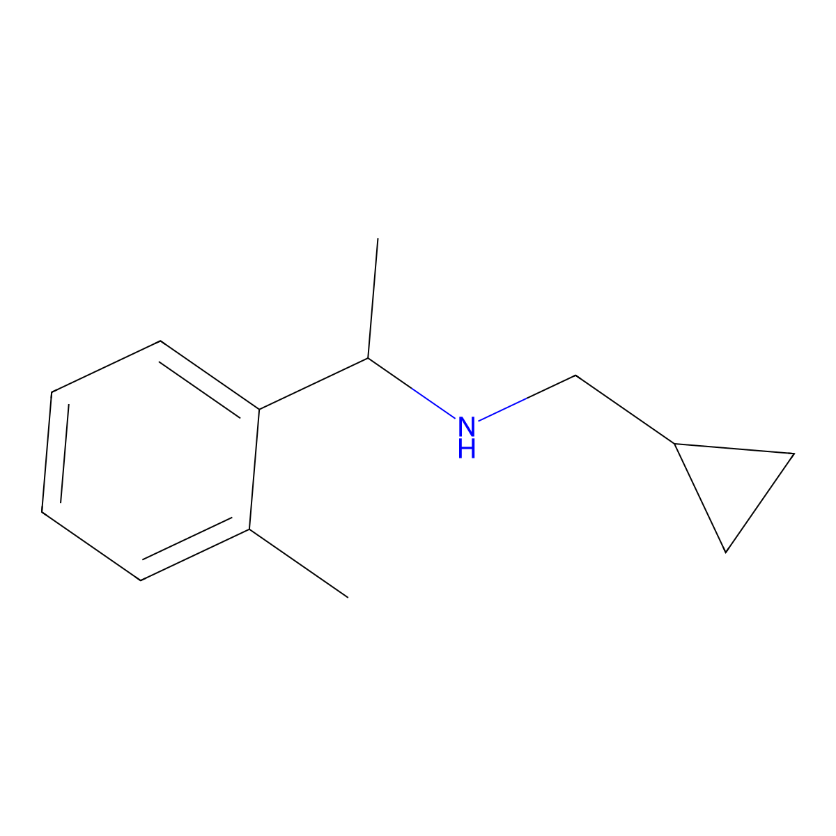 (Cyclopropylmethyl)[1-(2-methylphenyl)ethyl]amine molecular structure, CAS 1019539-69-5