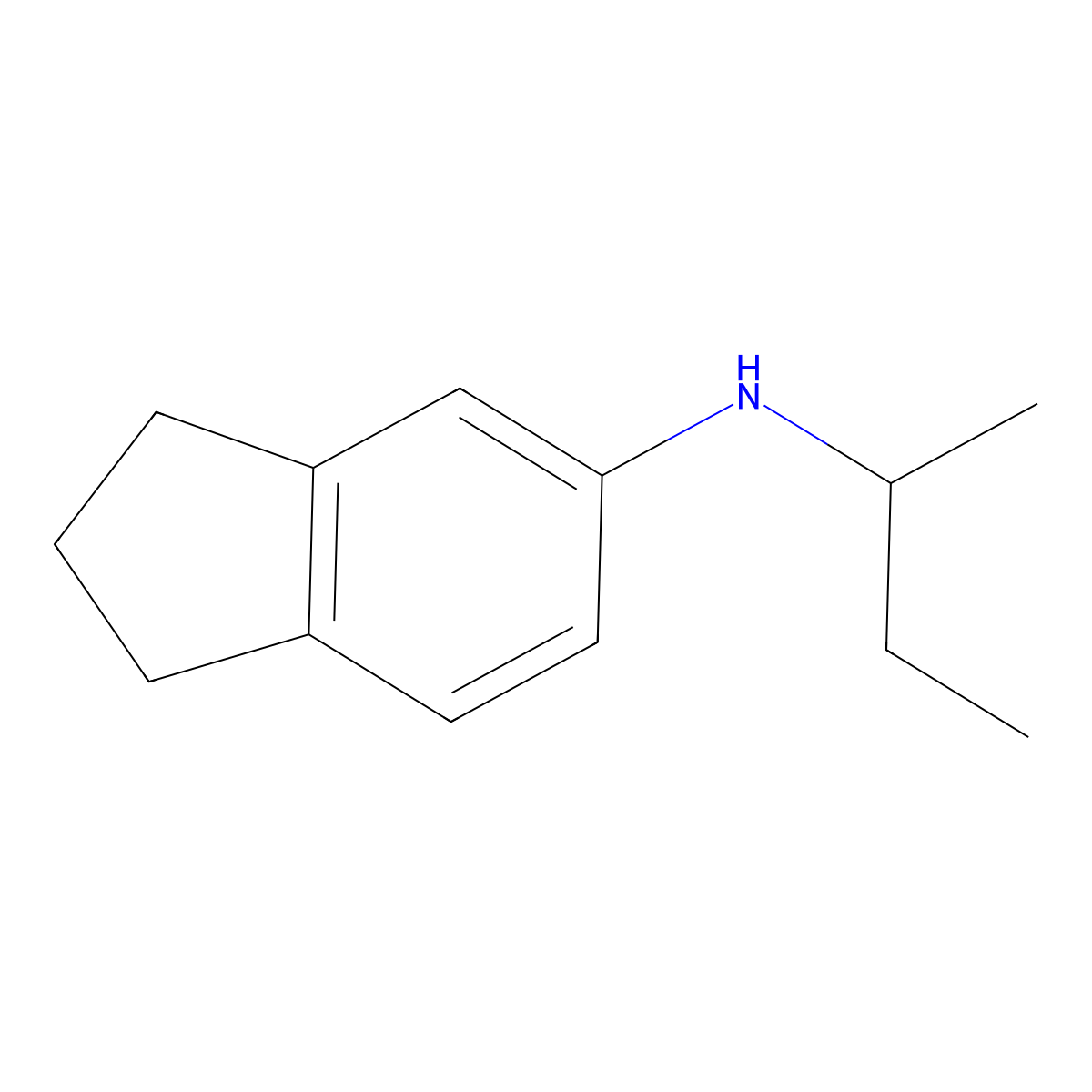 N-(butan-2-yl)-2,3-dihydro-1H-inden-5-amine molecular structure, CAS 1019554-85-8