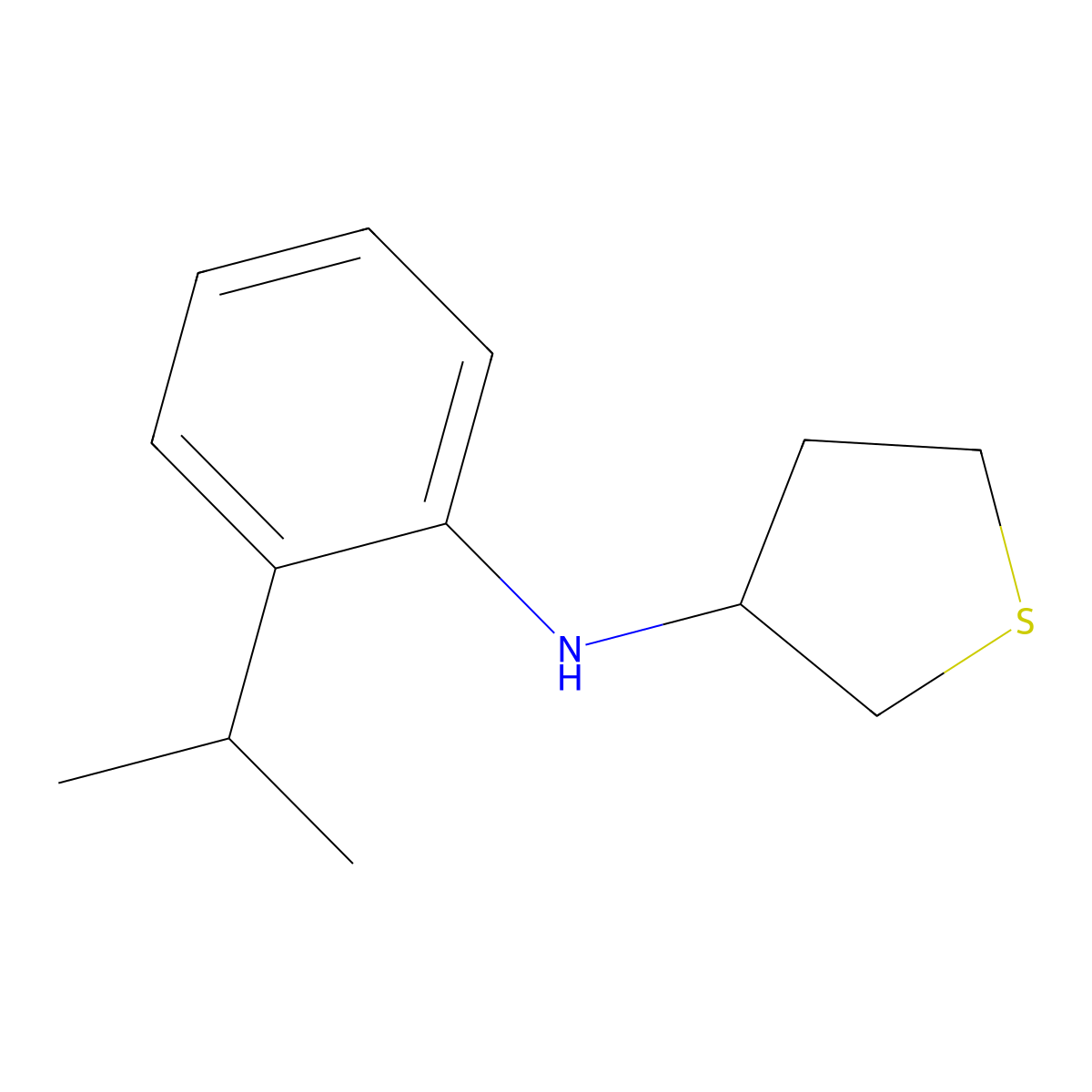 N-[2-(Propan-2-yl)phenyl]thiolan-3-amine molecular structure, CAS 1019557-60-8