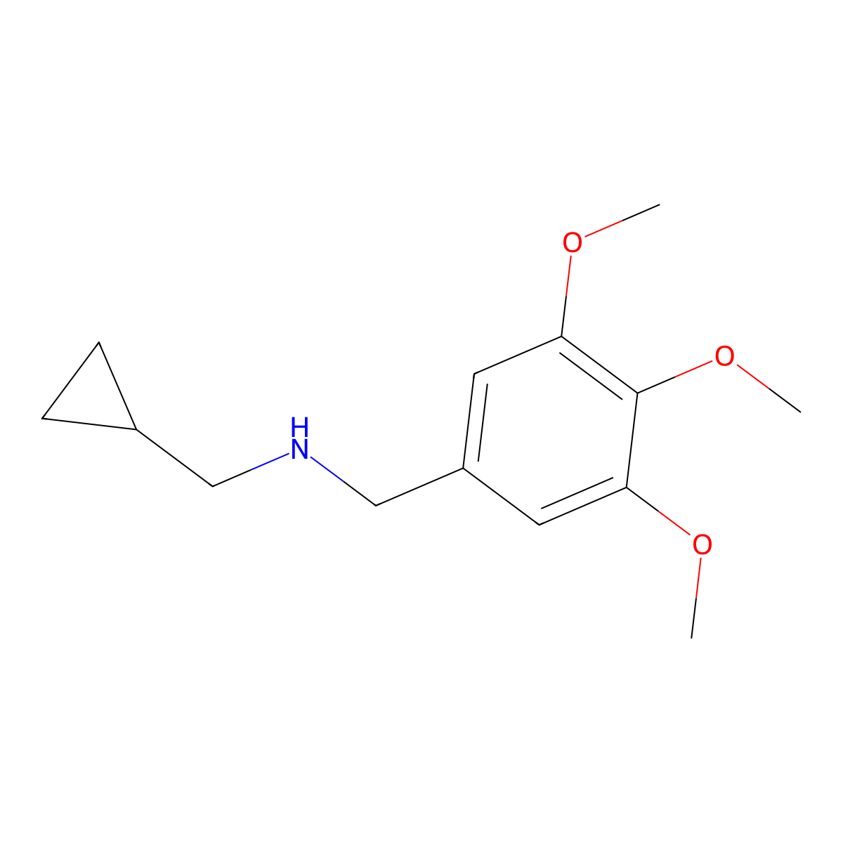 (Cyclopropylmethyl)[(3,4,5-trimethoxyphenyl)methyl]amine molecular structure, CAS 1019560-96-3