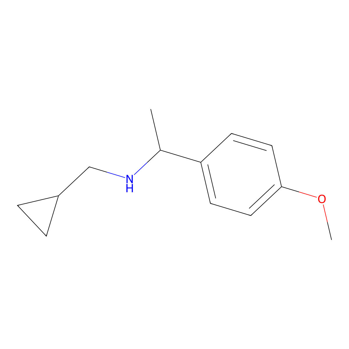 (Cyclopropylmethyl)[1-(4-methoxyphenyl)ethyl]amine molecular structure, CAS 1019561-68-2
