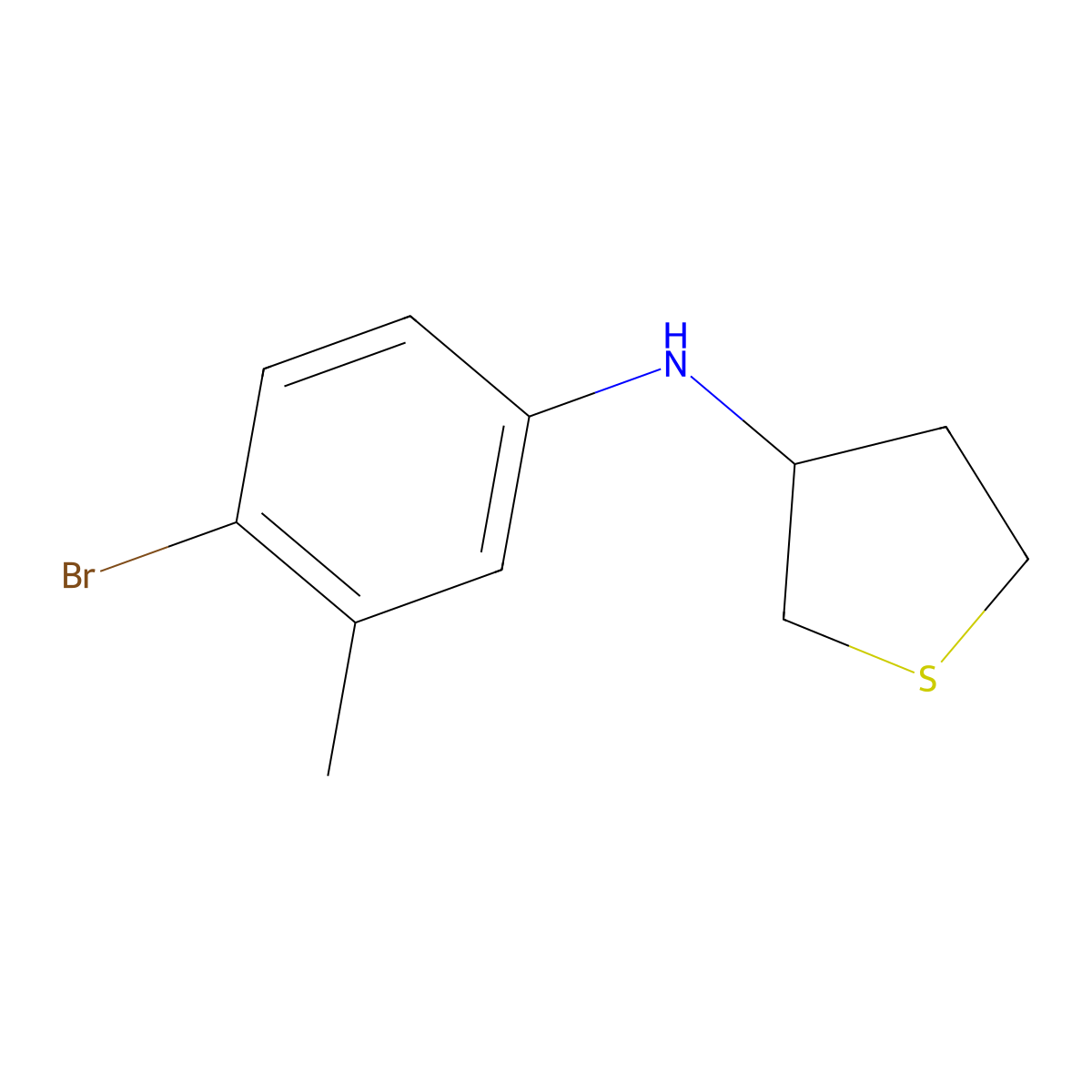 N-(4-bromo-3-methylphenyl)thiolan-3-amine molecular structure, CAS 1019563-52-0