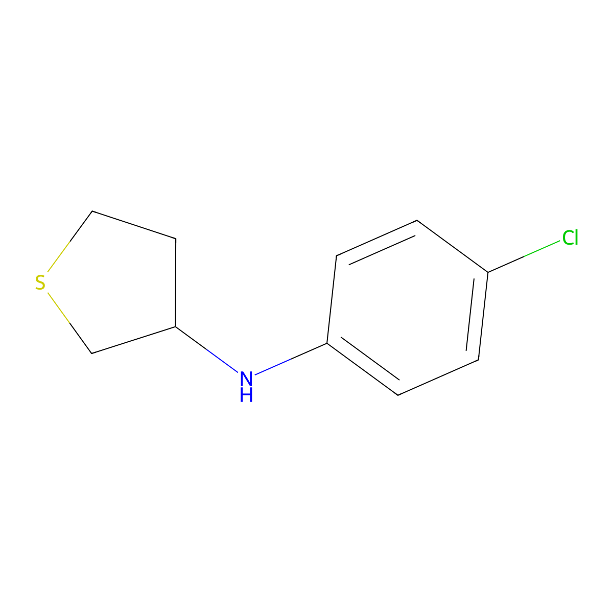 N-(4-chlorophenyl)thiolan-3-amine molecular structure, CAS 1019567-43-1