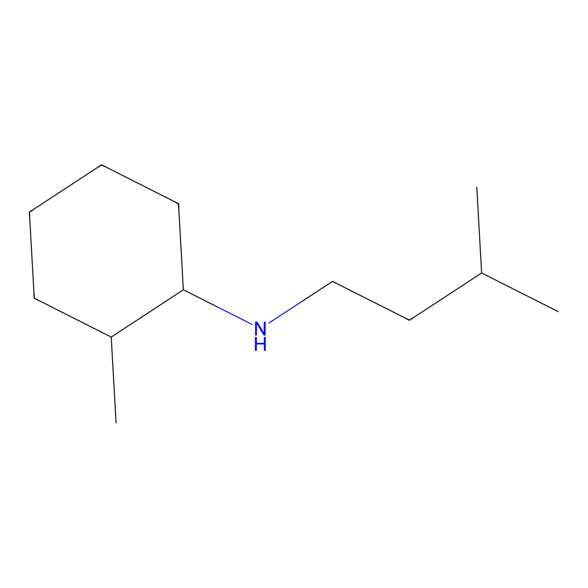 2-methyl-N-(3-methylbutyl)cyclohexan-1-amine molecular structure, CAS 1019571-80-2