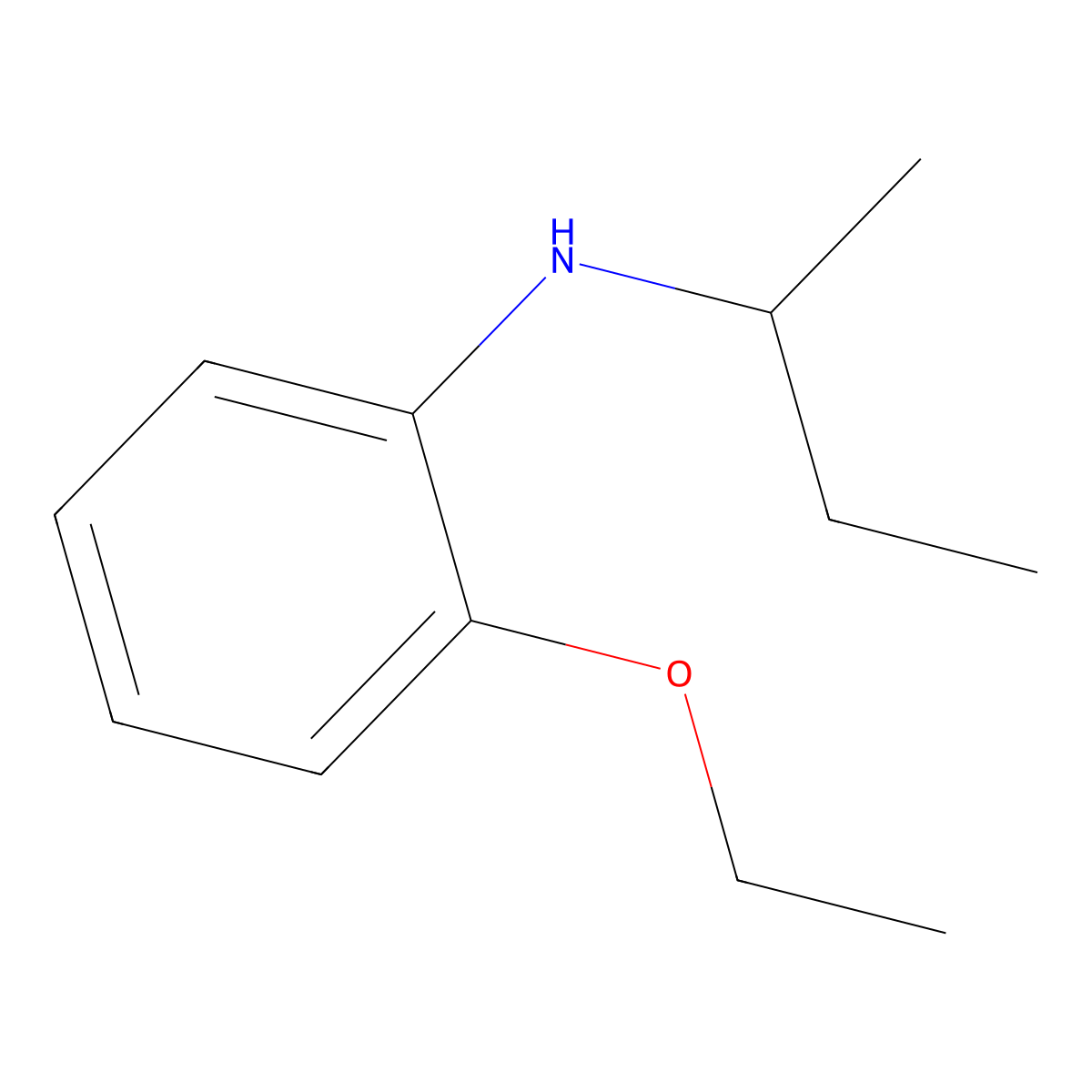 N-(Butan-2-yl)-2-ethoxyaniline molecular structure, CAS 1019574-25-4