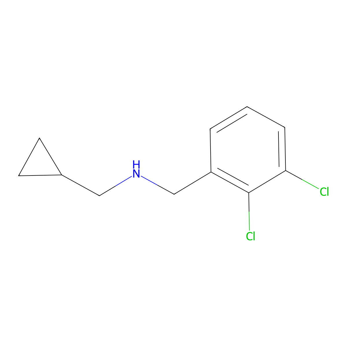 (Cyclopropylmethyl)[(2,3-dichlorophenyl)methyl]amine molecular structure, CAS 1019576-98-7
