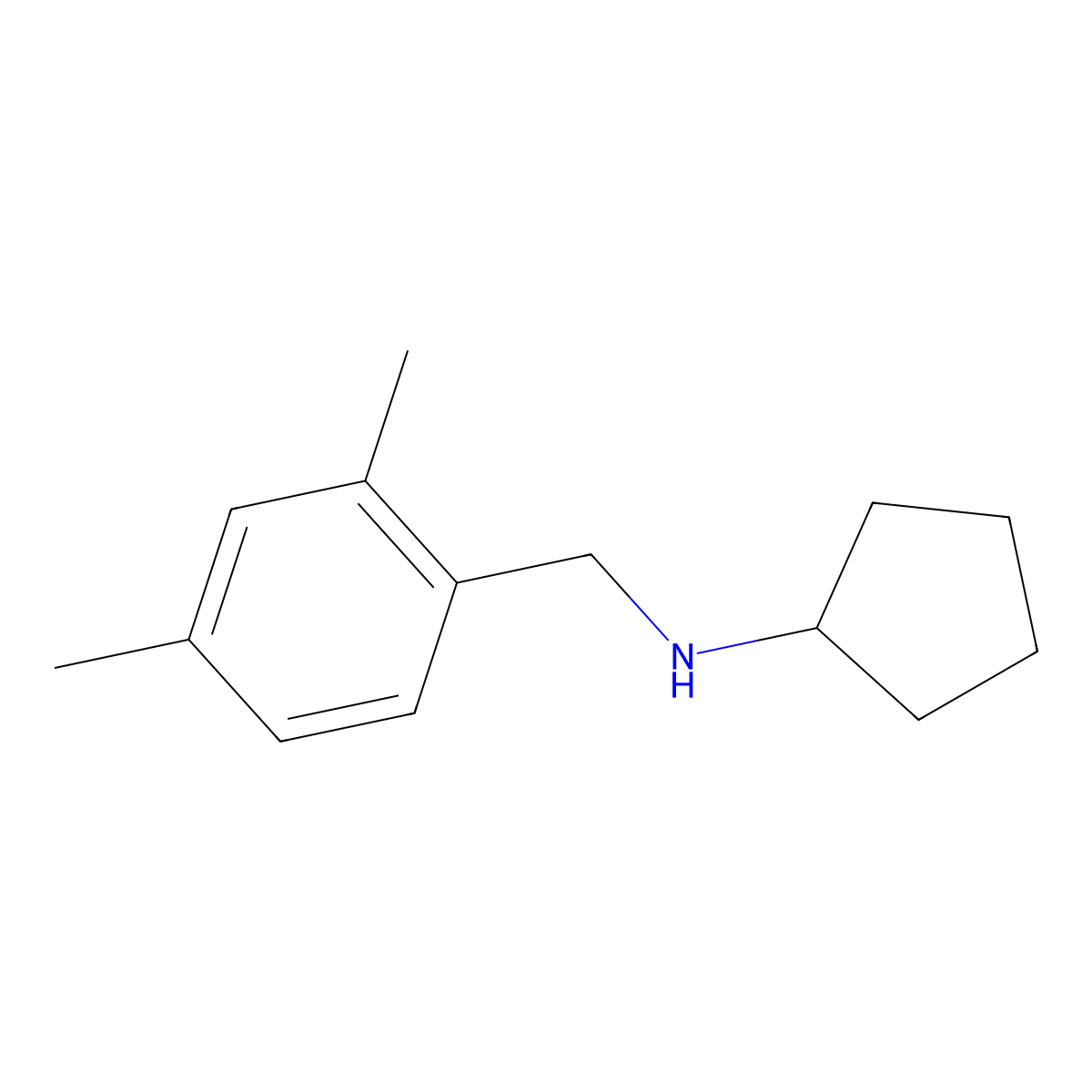 N-[(2,4-dimethylphenyl)methyl]cyclopentanamine molecular structure, CAS 1019579-61-3
