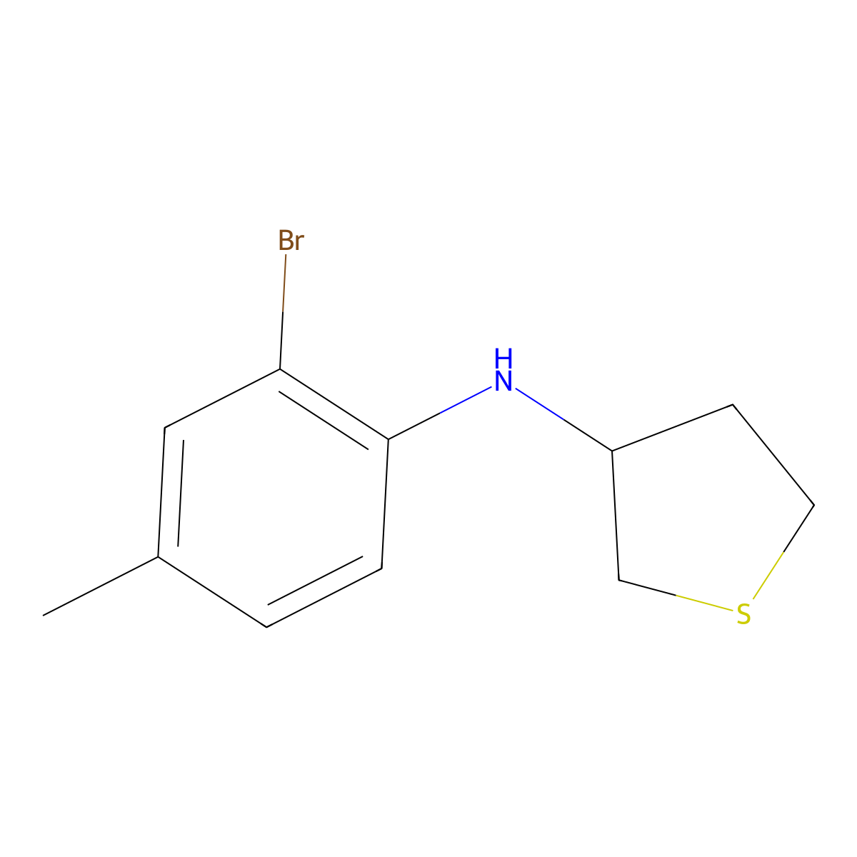 N-(2-bromo-4-methylphenyl)thiolan-3-amine molecular structure, CAS 1019587-82-6