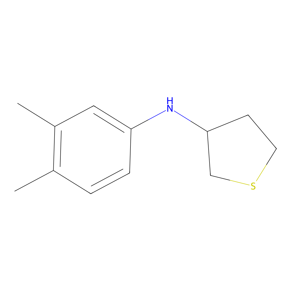 N-(3,4-dimethylphenyl)thiolan-3-amine molecular structure, CAS 1019589-26-4