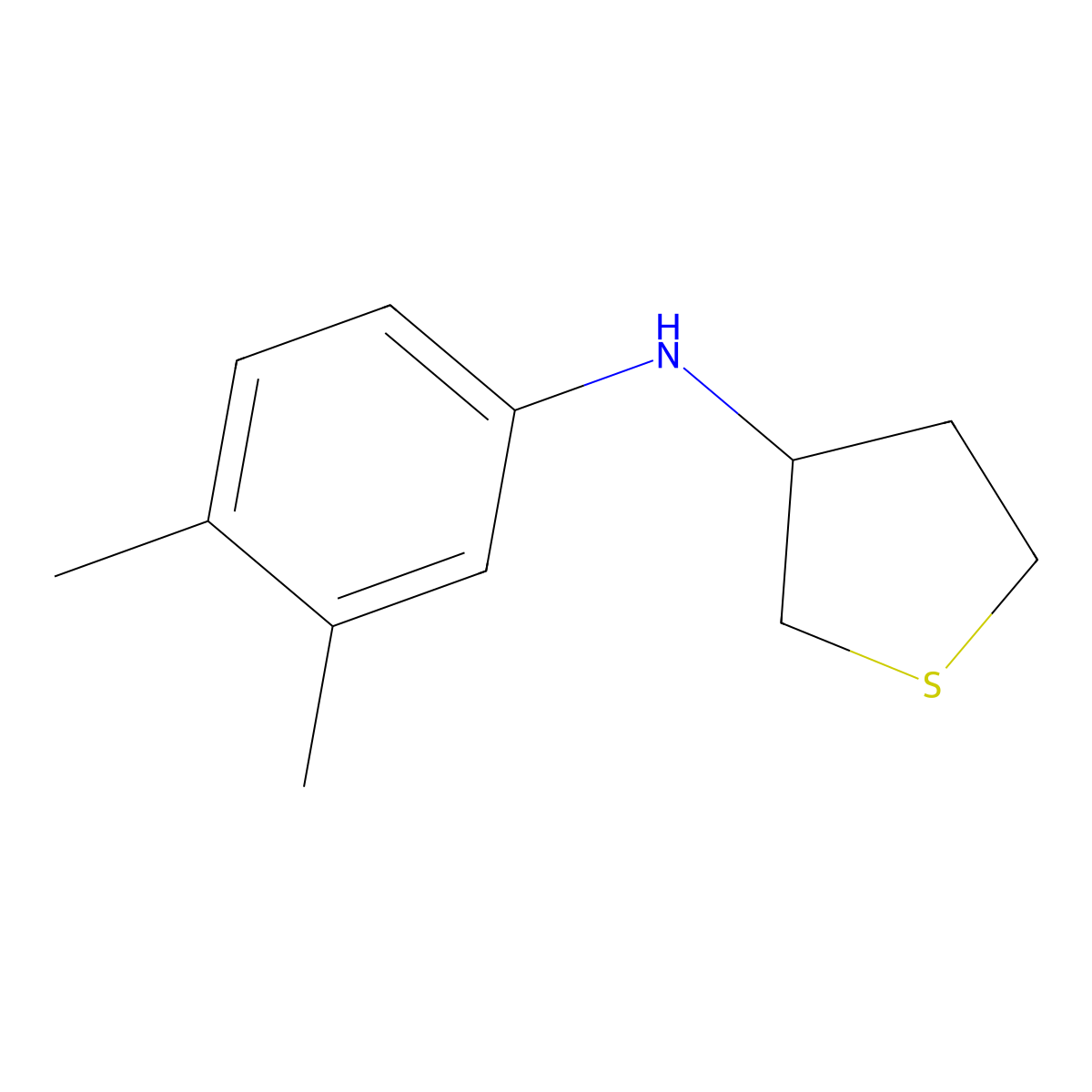 N-(3,4-dimethylphenyl)thiolan-3-amine molecular structure, CAS 1019589-26-4