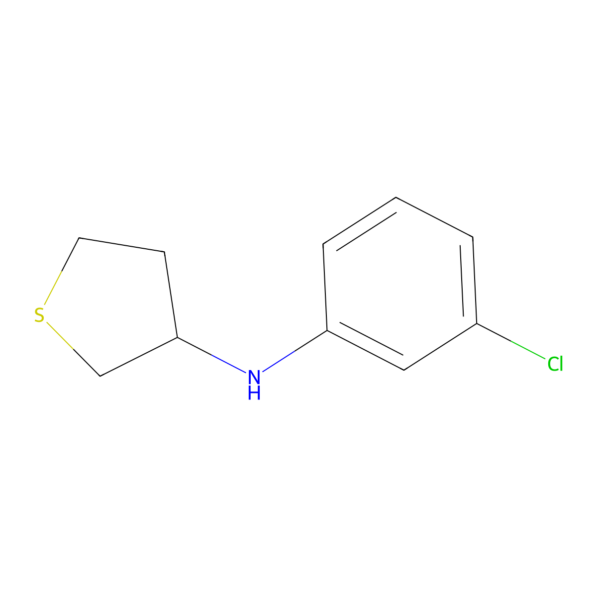 N-(3-chlorophenyl)thiolan-3-amine molecular structure, CAS 1019589-83-3