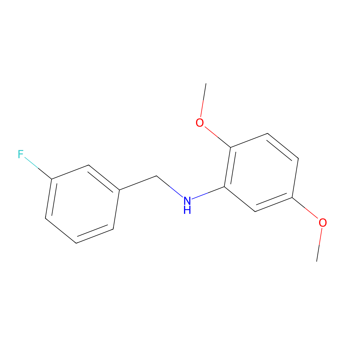 N-(3-Fluorobenzyl)-2,5-dimethoxyaniline molecular structure, CAS 1019592-64-3