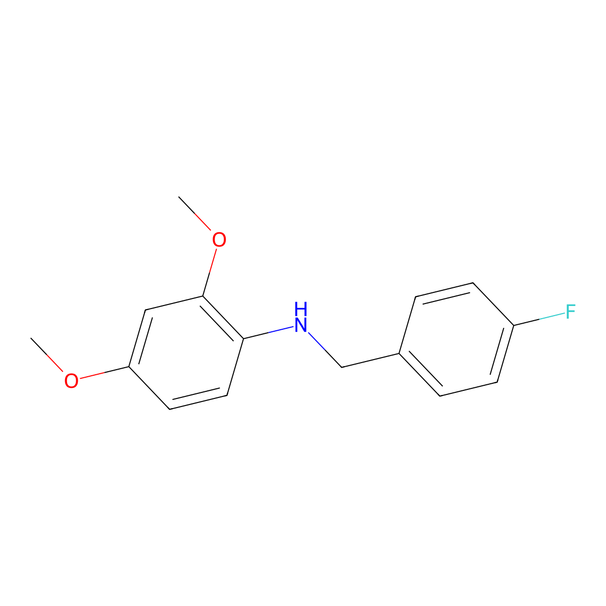 N-(4-Fluorobenzyl)-2,4-dimethoxyaniline molecular structure, CAS 1019594-96-7