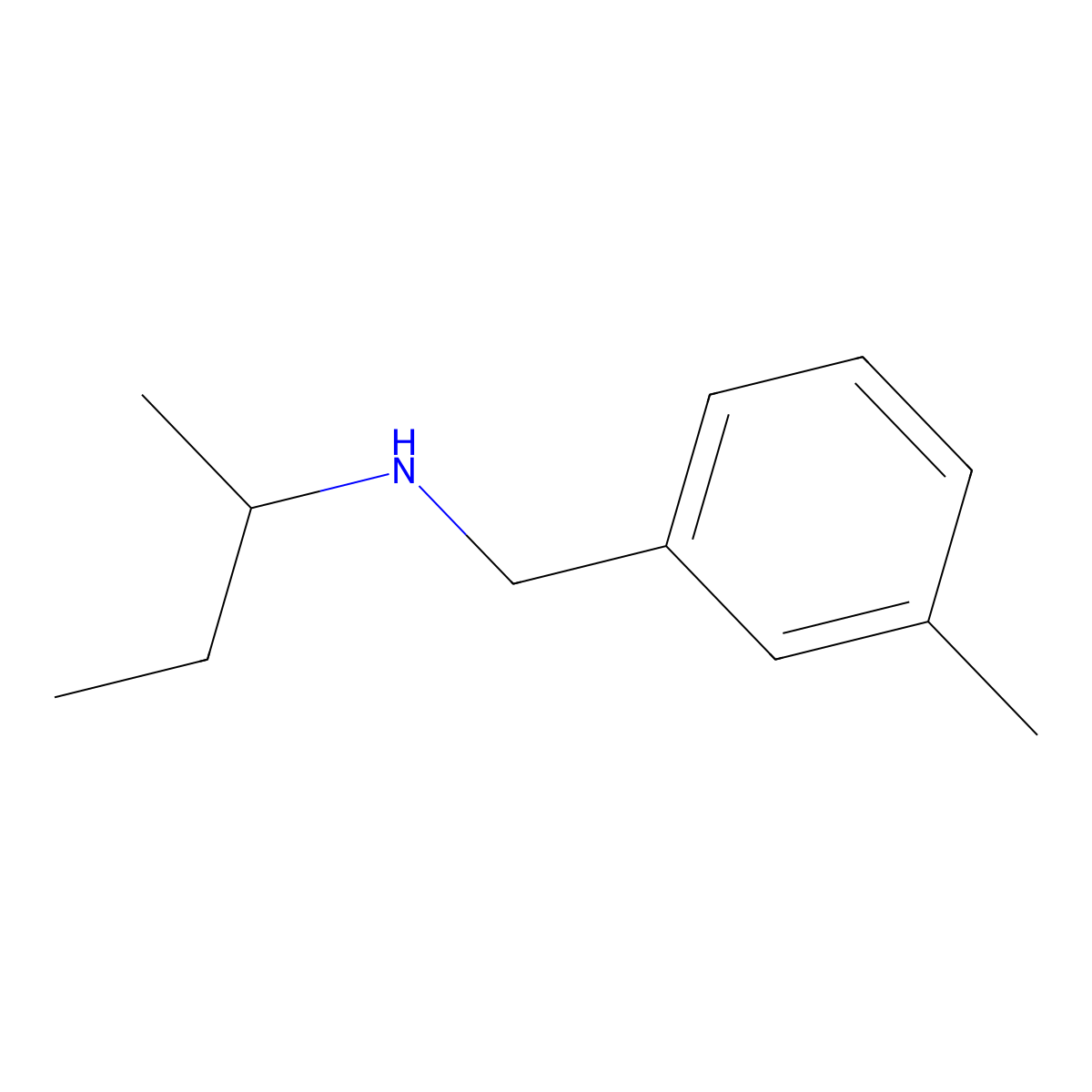 (Butan-2-yl)[(3-methylphenyl)methyl]amine molecular structure, CAS 1019599-56-4