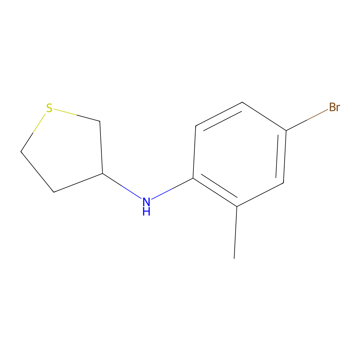 N-(4-bromo-2-methylphenyl)thiolan-3-amine molecular structure, CAS 1019603-28-1