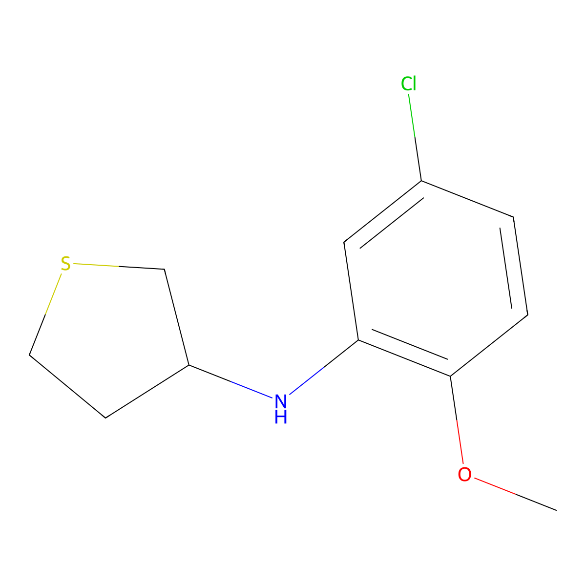 N-(5-chloro-2-methoxyphenyl)thiolan-3-amine molecular structure, CAS 1019603-78-1