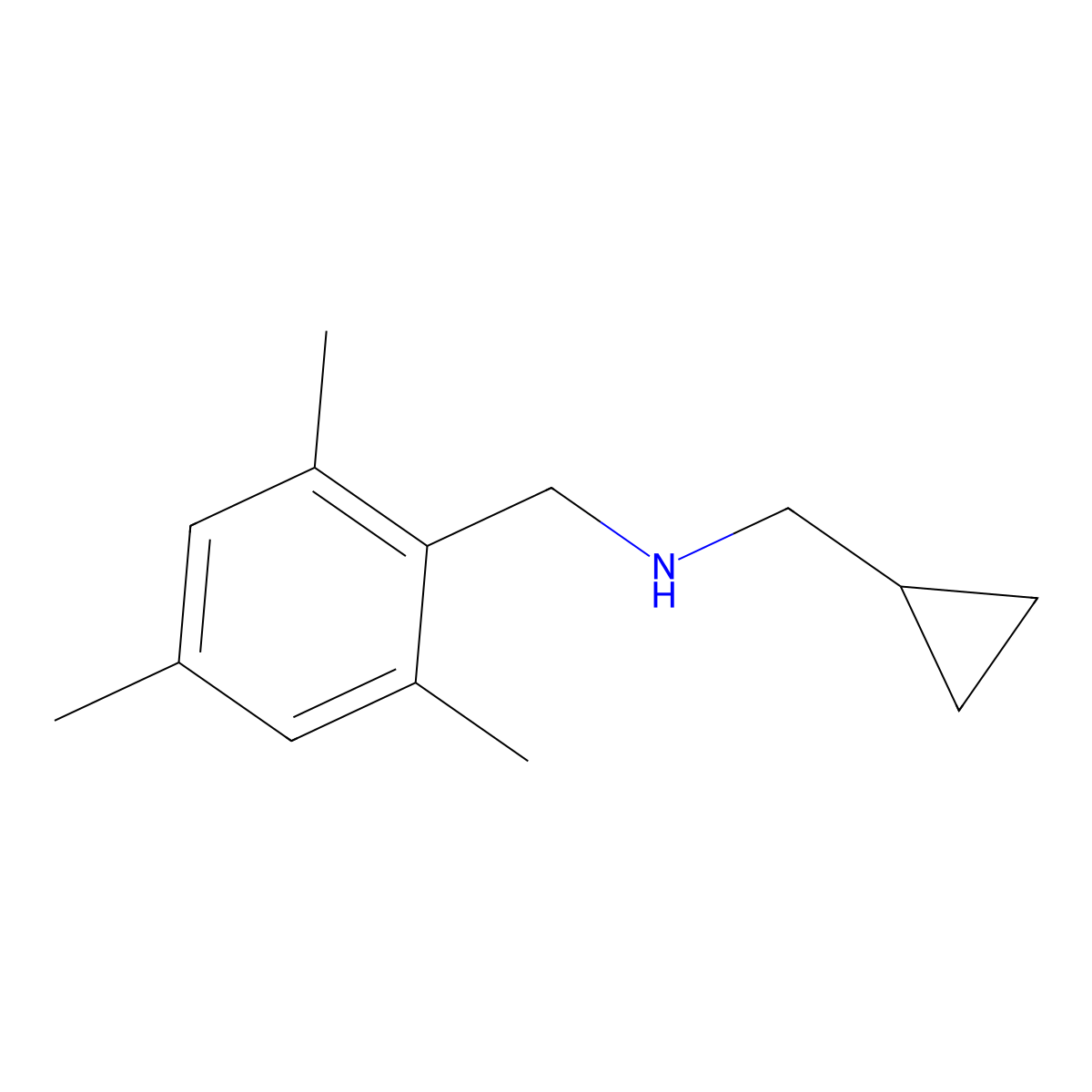 (Cyclopropylmethyl)[(2,4,6-trimethylphenyl)methyl]amine molecular structure, CAS 1019611-47-2