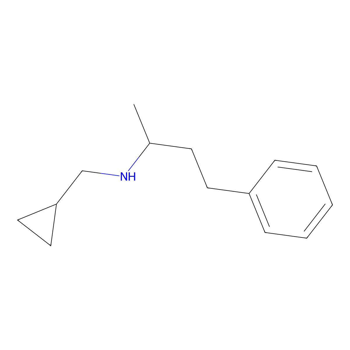 (Cyclopropylmethyl)(4-phenylbutan-2-yl)amine molecular structure, CAS 1019611-77-8