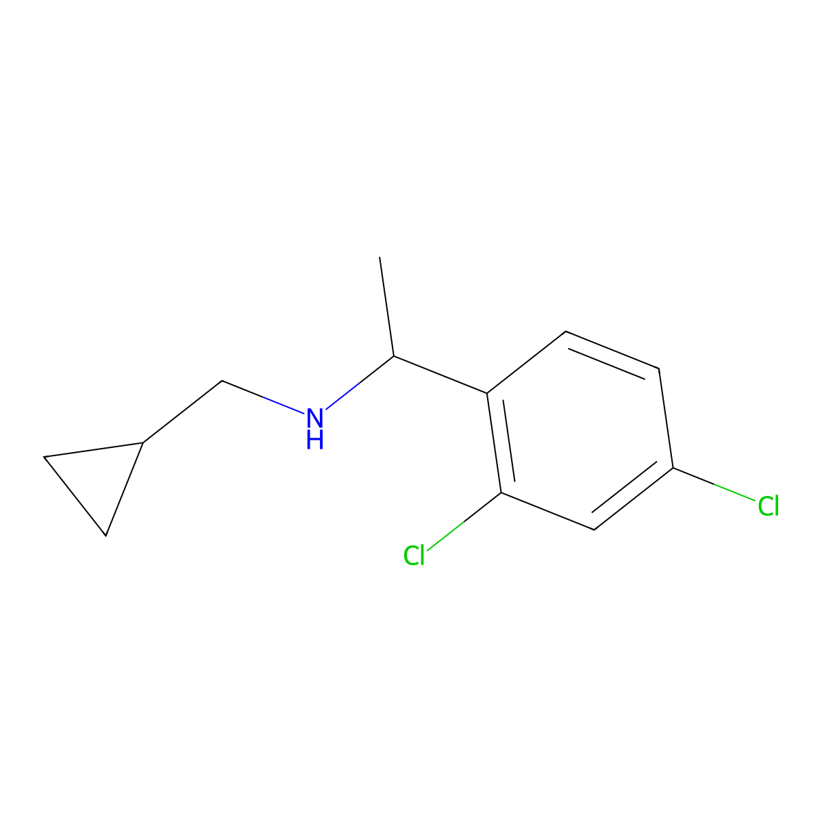 (Cyclopropylmethyl)[1-(2,4-dichlorophenyl)ethyl]amine molecular structure, CAS 1019612-07-7