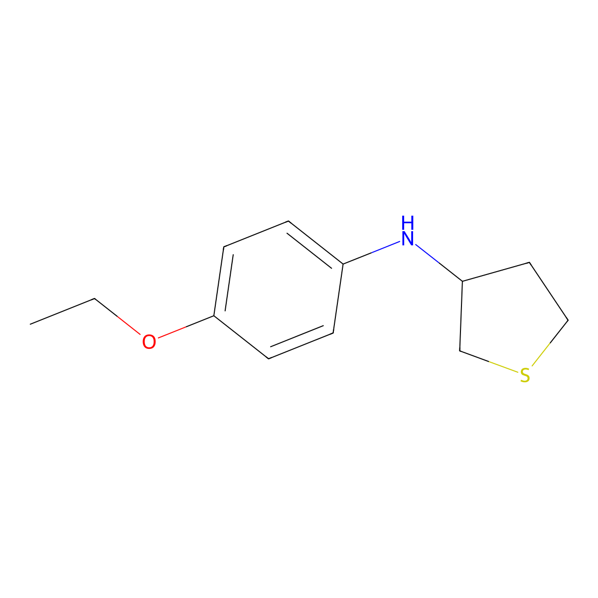 N-(4-ethoxyphenyl)thiolan-3-amine molecular structure, CAS 1019617-48-1