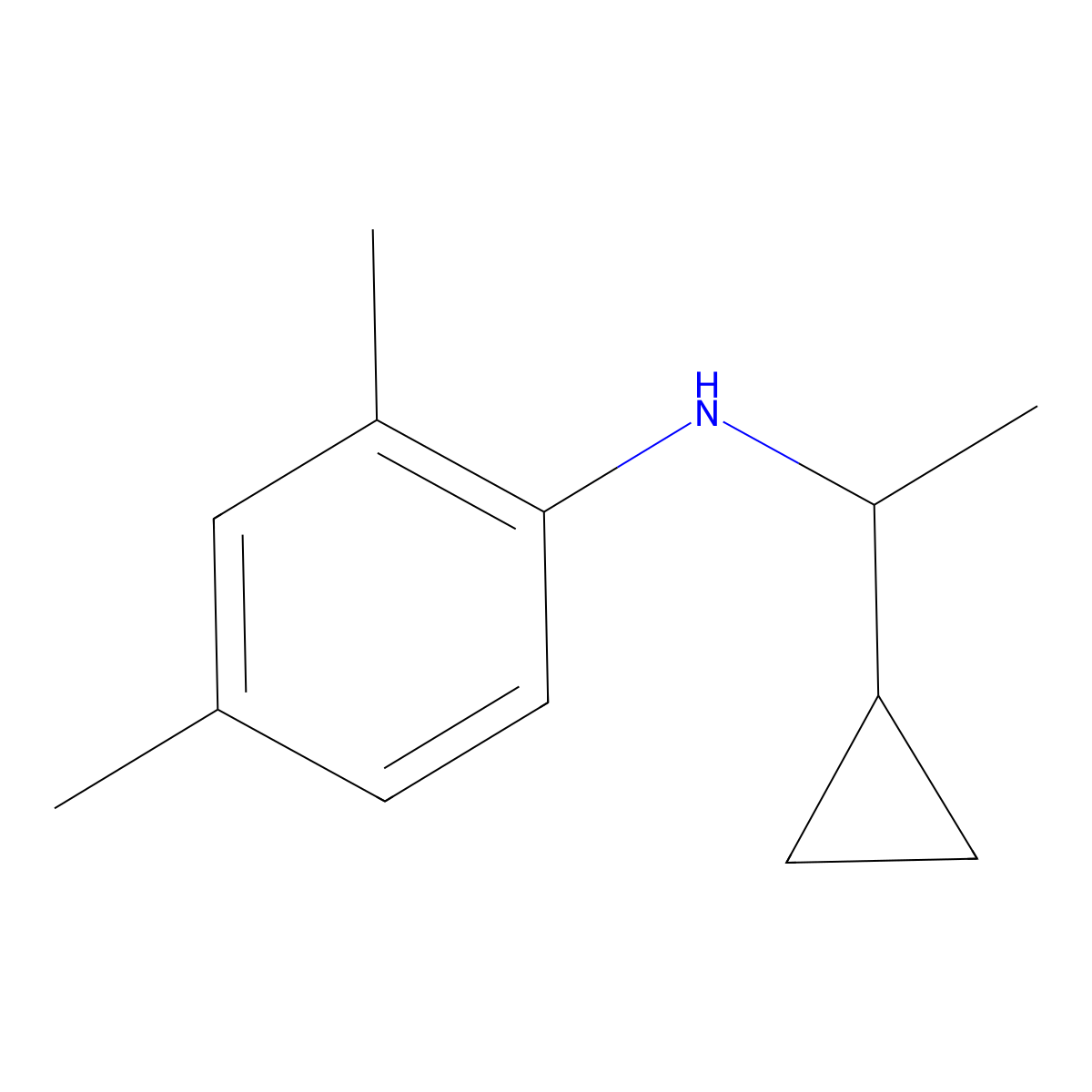 N-(1-cyclopropylethyl)-2,4-dimethylaniline molecular structure, CAS 1019617-85-6