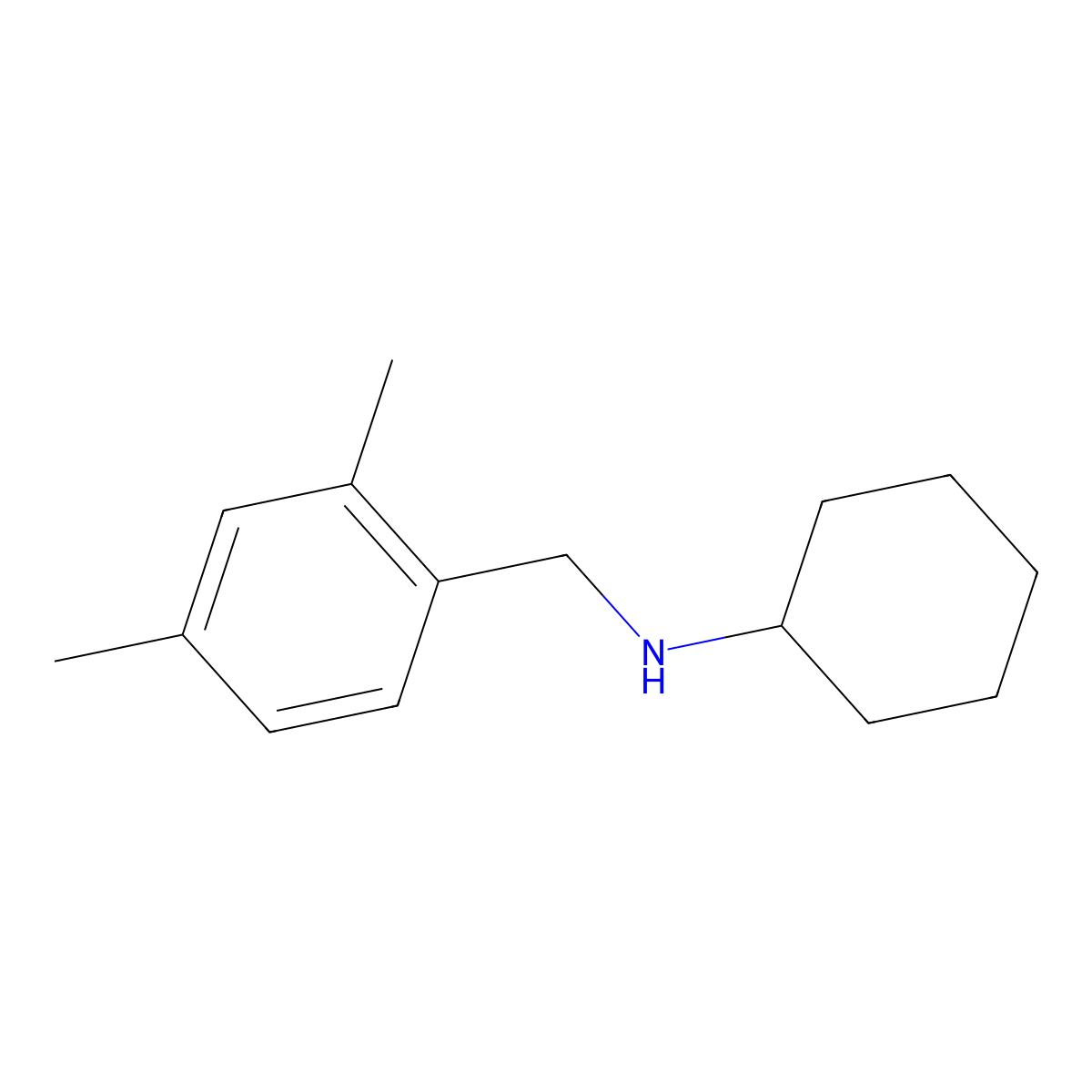 N-[(2,4-dimethylphenyl)methyl]cyclohexanamine molecular structure, CAS 1019620-13-3