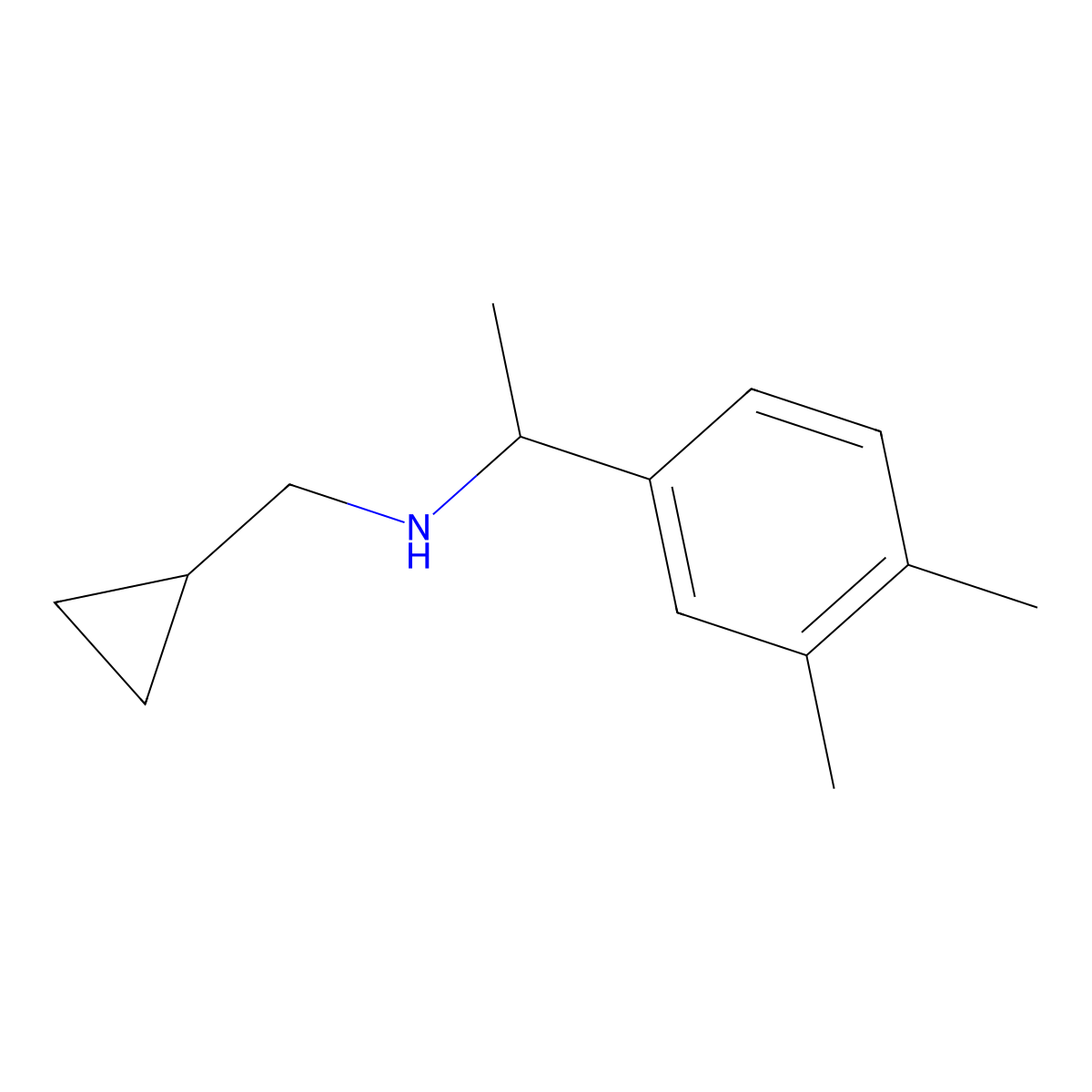 (Cyclopropylmethyl)[1-(3,4-dimethylphenyl)ethyl]amine molecular structure, CAS 1019626-84-6