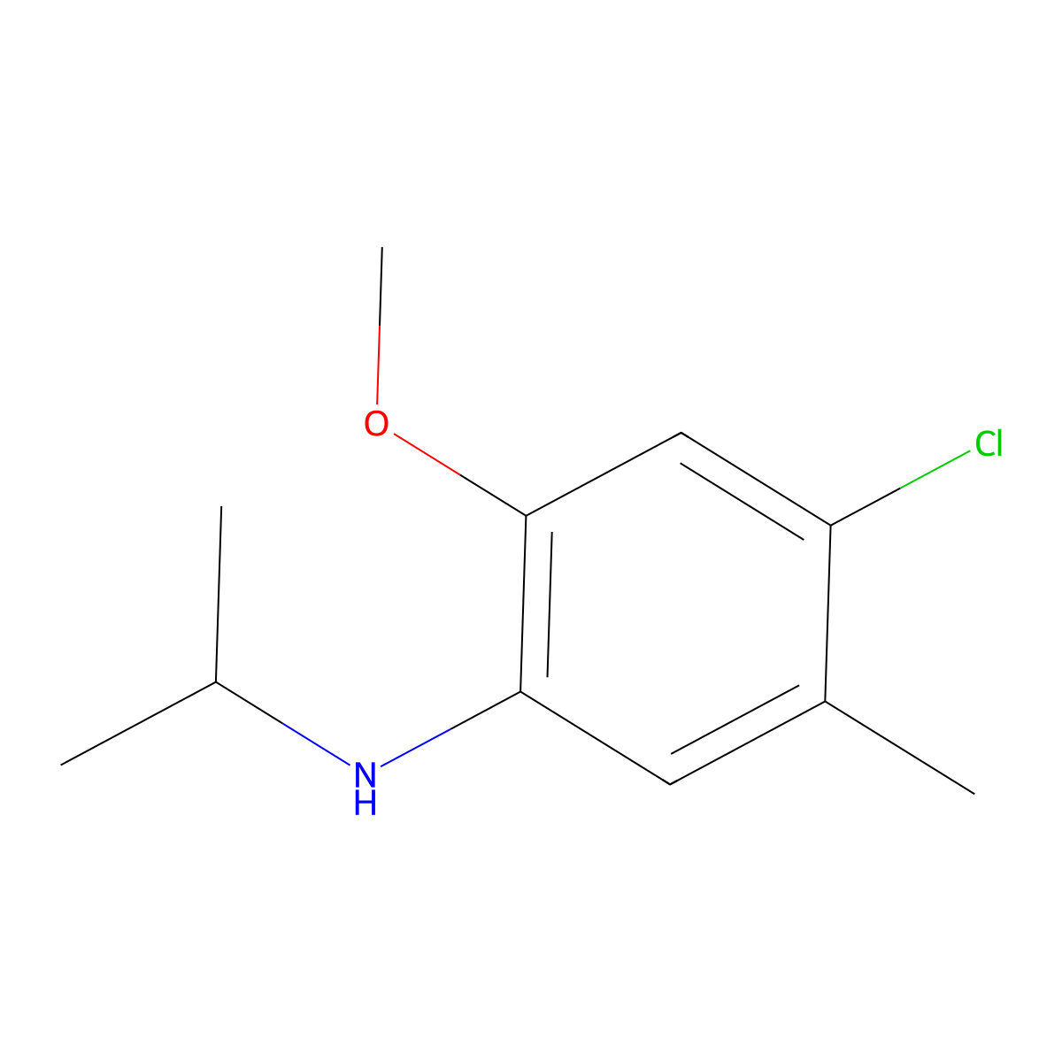 4-chloro-2-methoxy-5-methyl-N-(propan-2-yl)aniline molecular structure, CAS 1019628-16-0